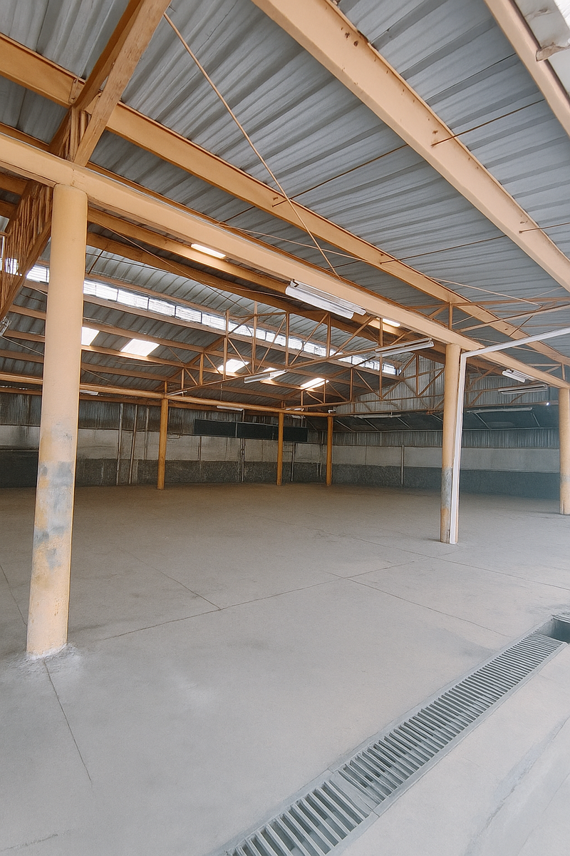 Naves en Venta El Millón, Santo Domingo