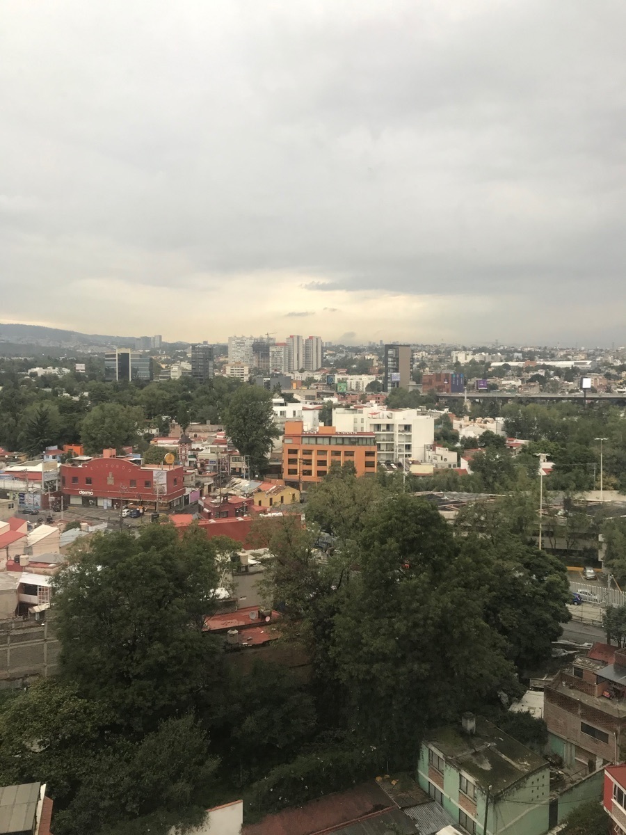 5 de 17