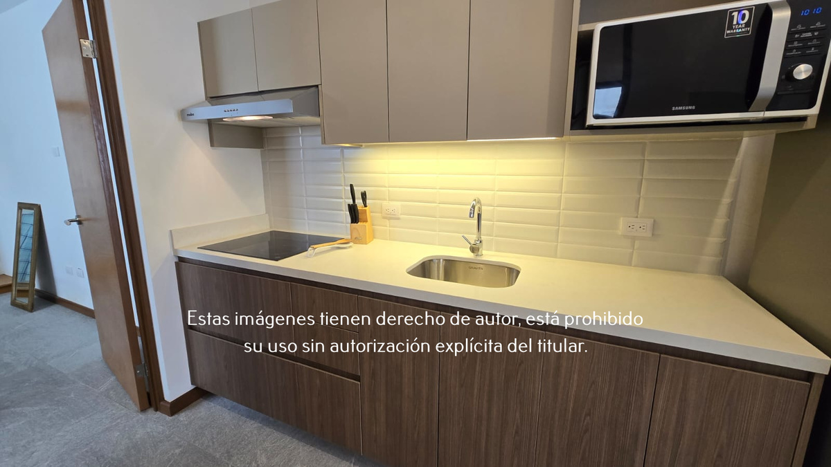 4 de 21: Departamento Nuevo en Renta en San Pedro Planta Baja