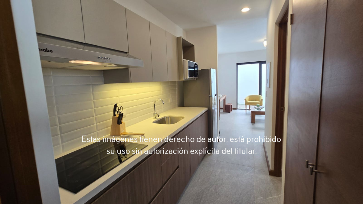 3 de 21: Departamento Nuevo en Renta en San Pedro Planta Baja