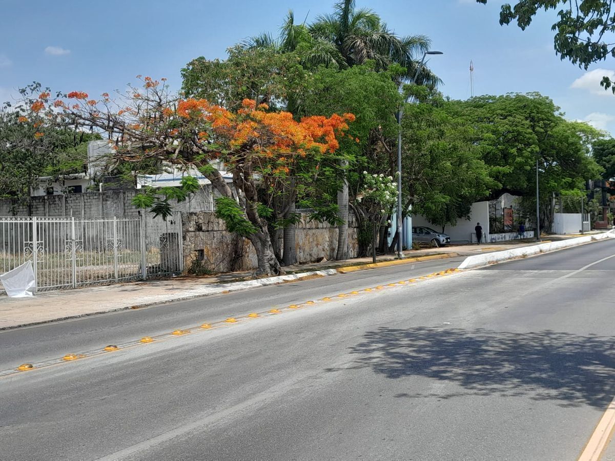 1 de 13