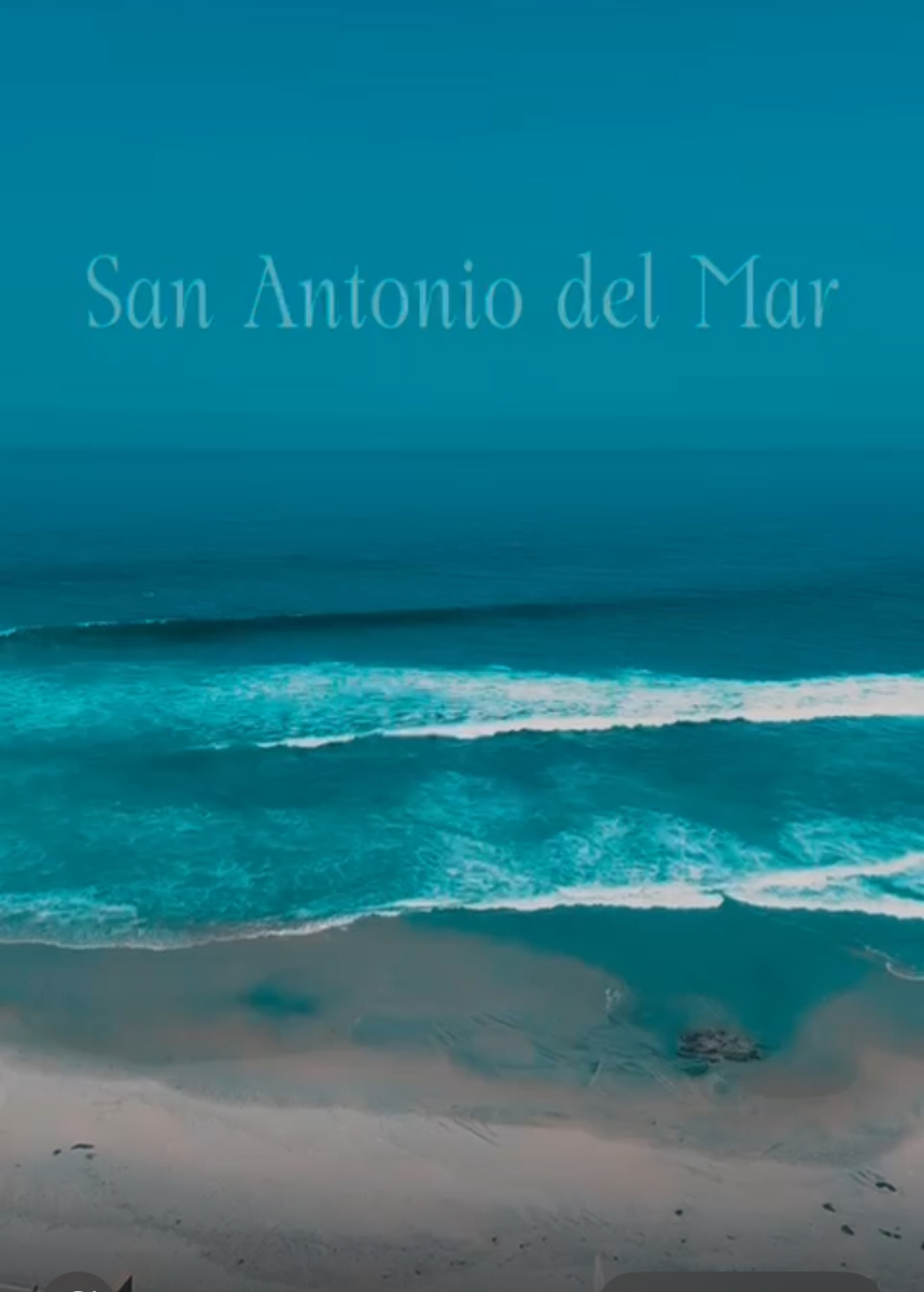 4 de 11