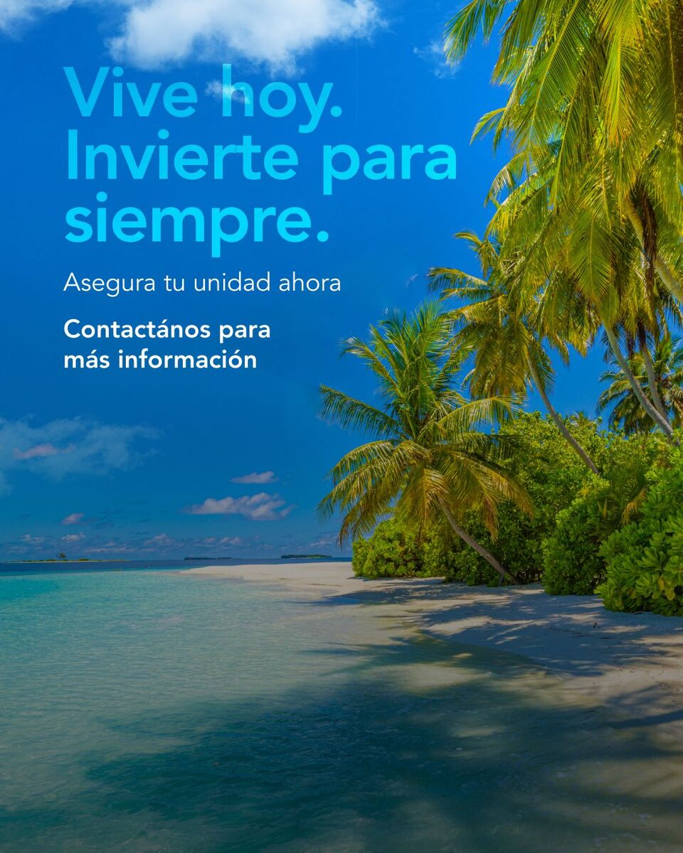 11 de 11
