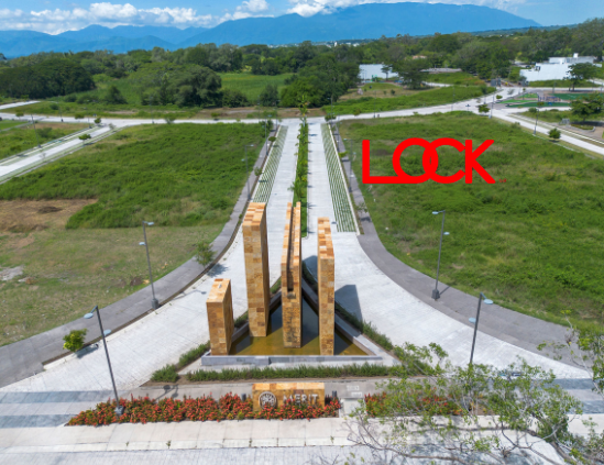 7 de 12