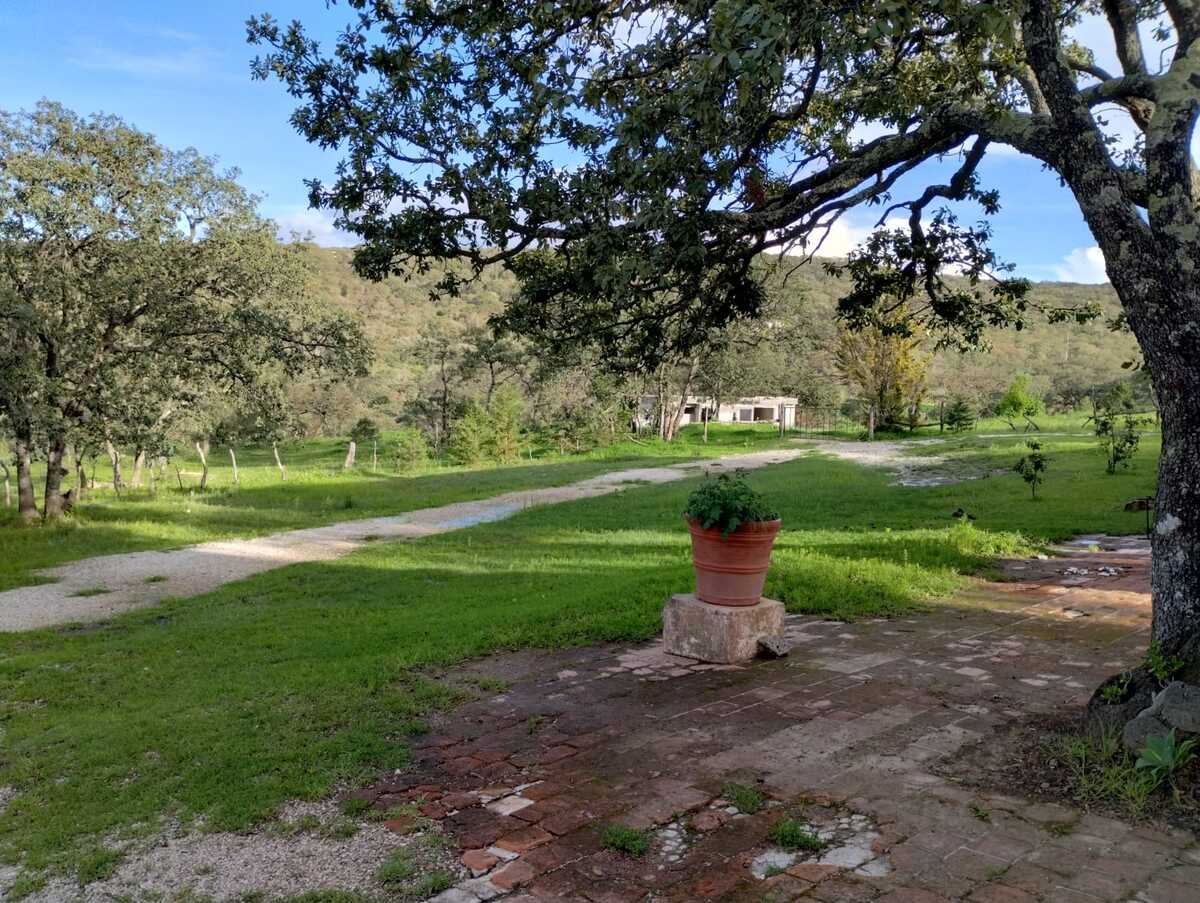 11 de 24