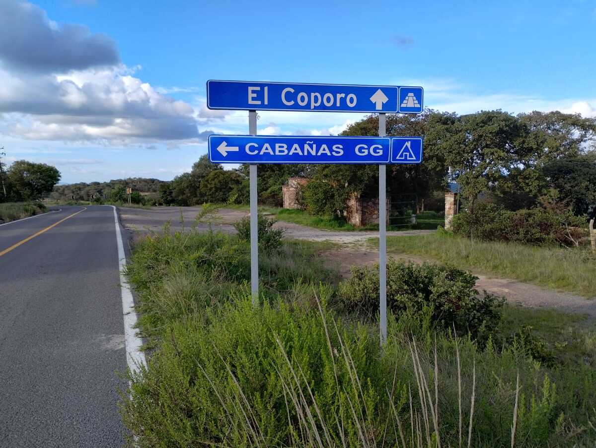 1 de 24