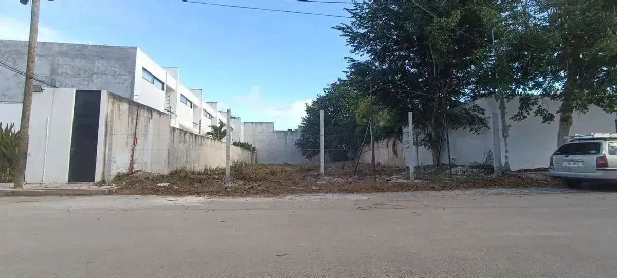 3 de 6