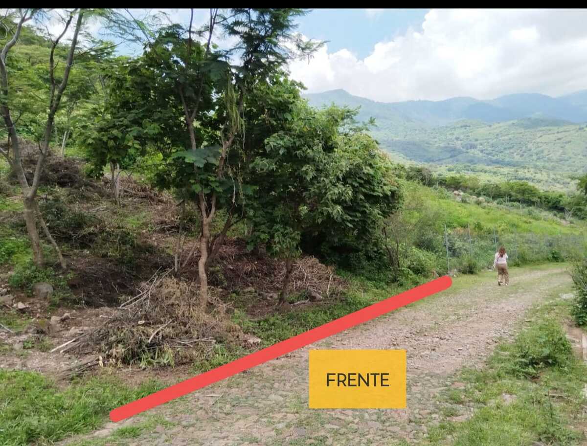 3 de 4
