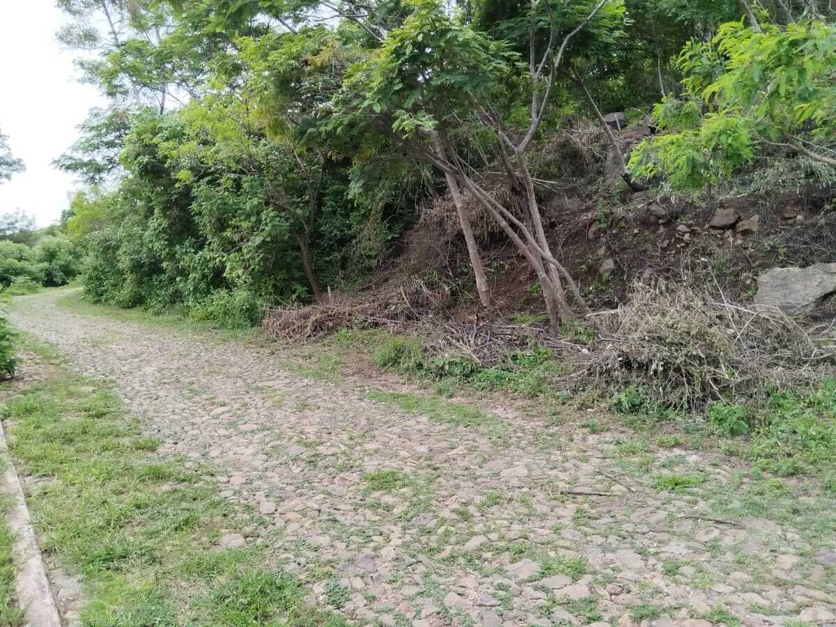 4 de 4