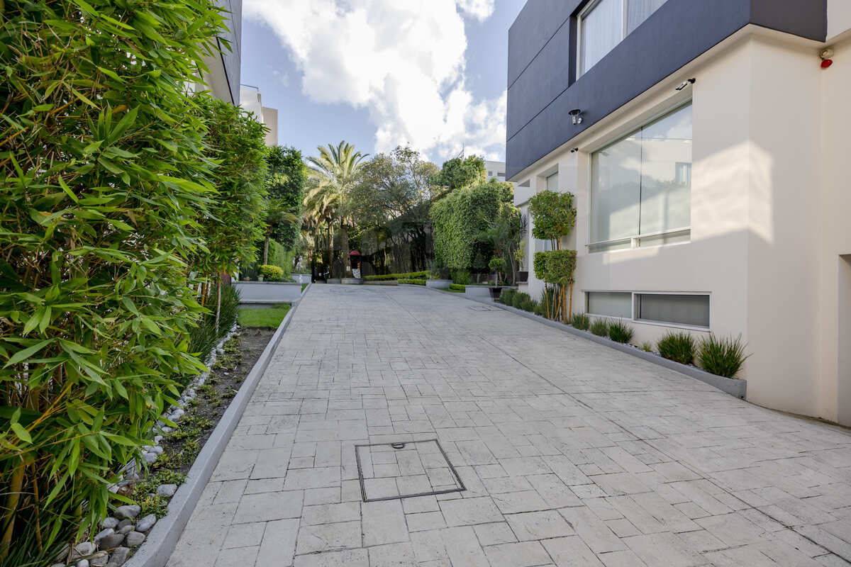 4 de 23: Esplendido mantenimiento