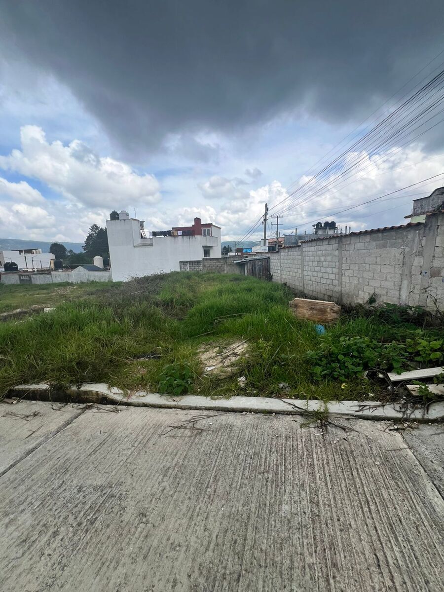 5 de 12