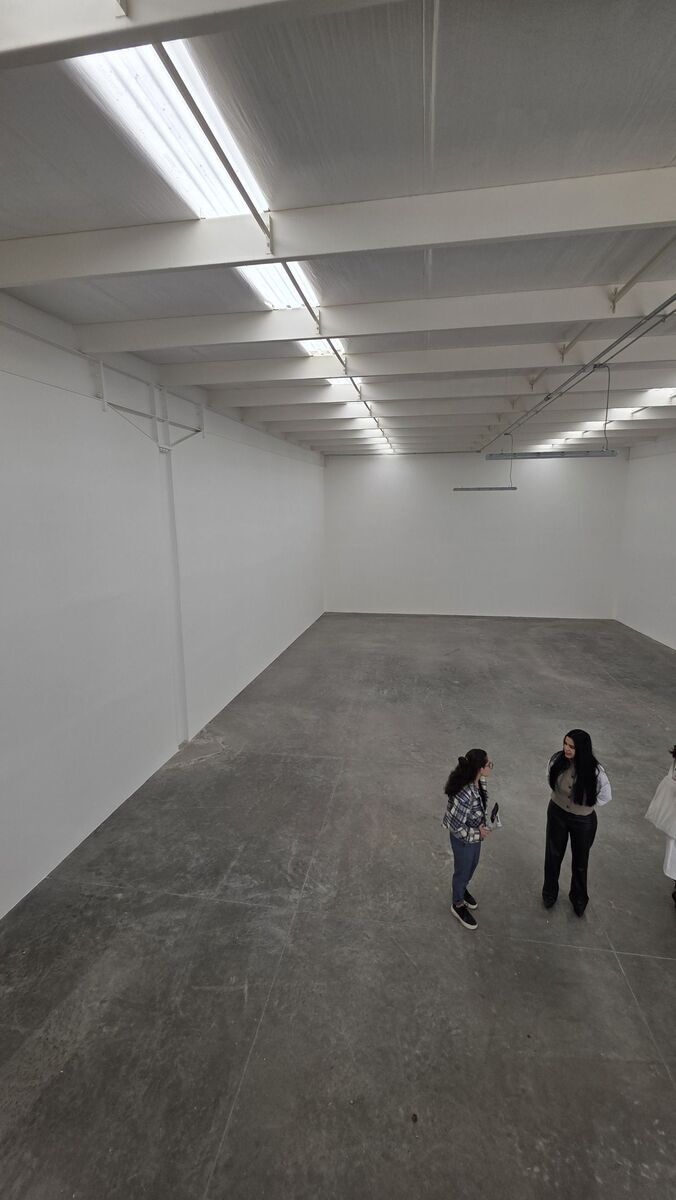 9 of 15: Renta bodega 600 m2 Blvd Peñaflor, Querétaro