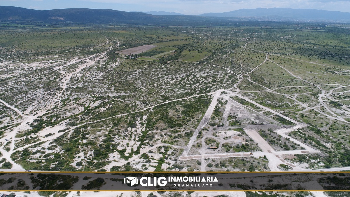 4 de 11