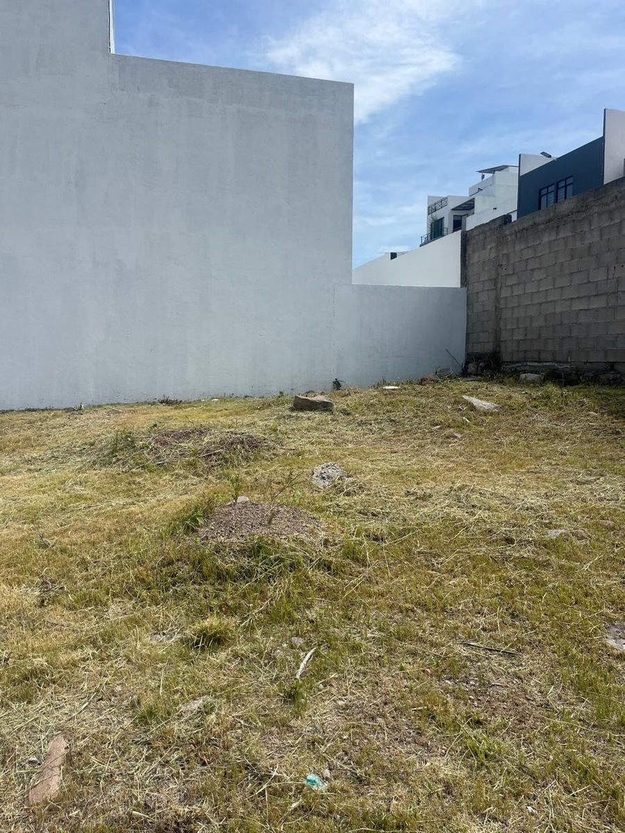 3 de 6