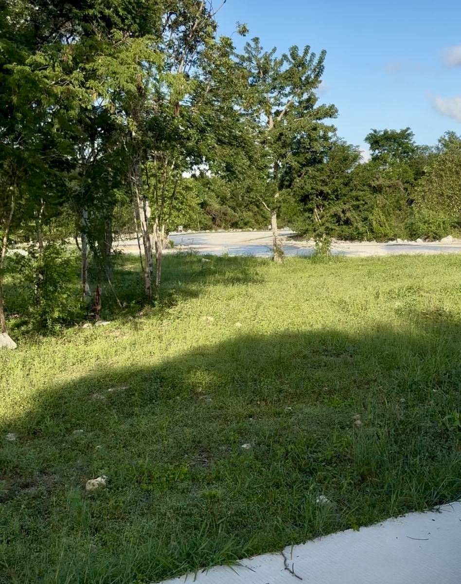 5 de 12: Parque frente al terreno