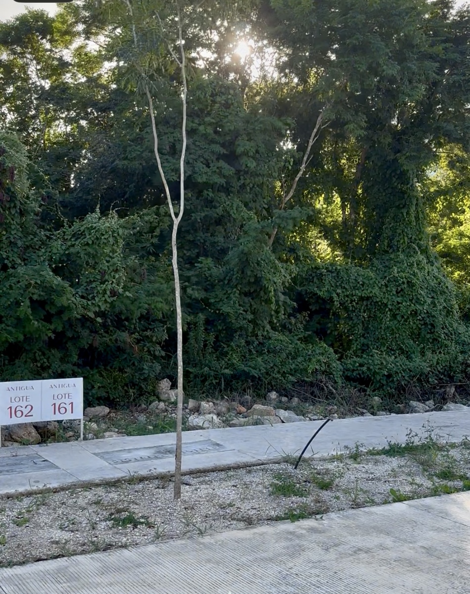 4 de 12: Terreno en venta # 161