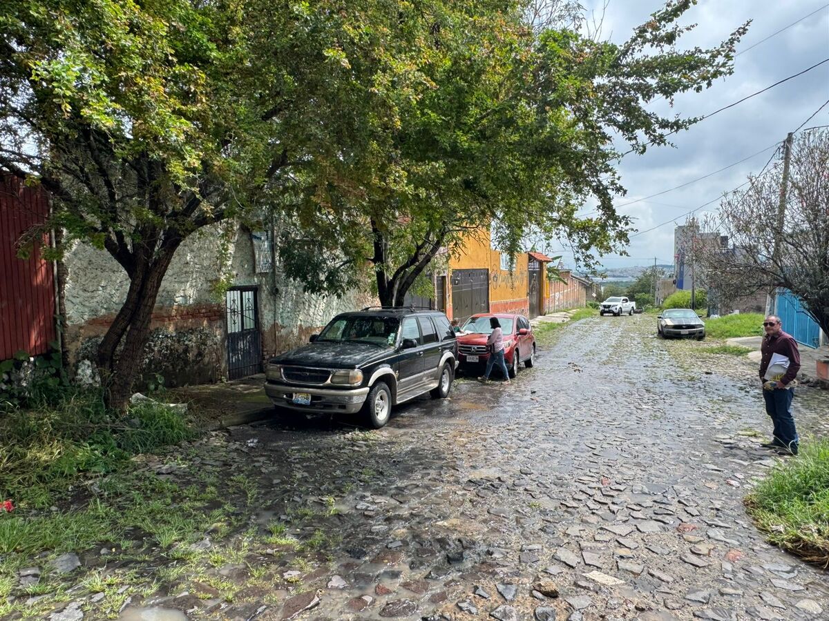 2 de 12