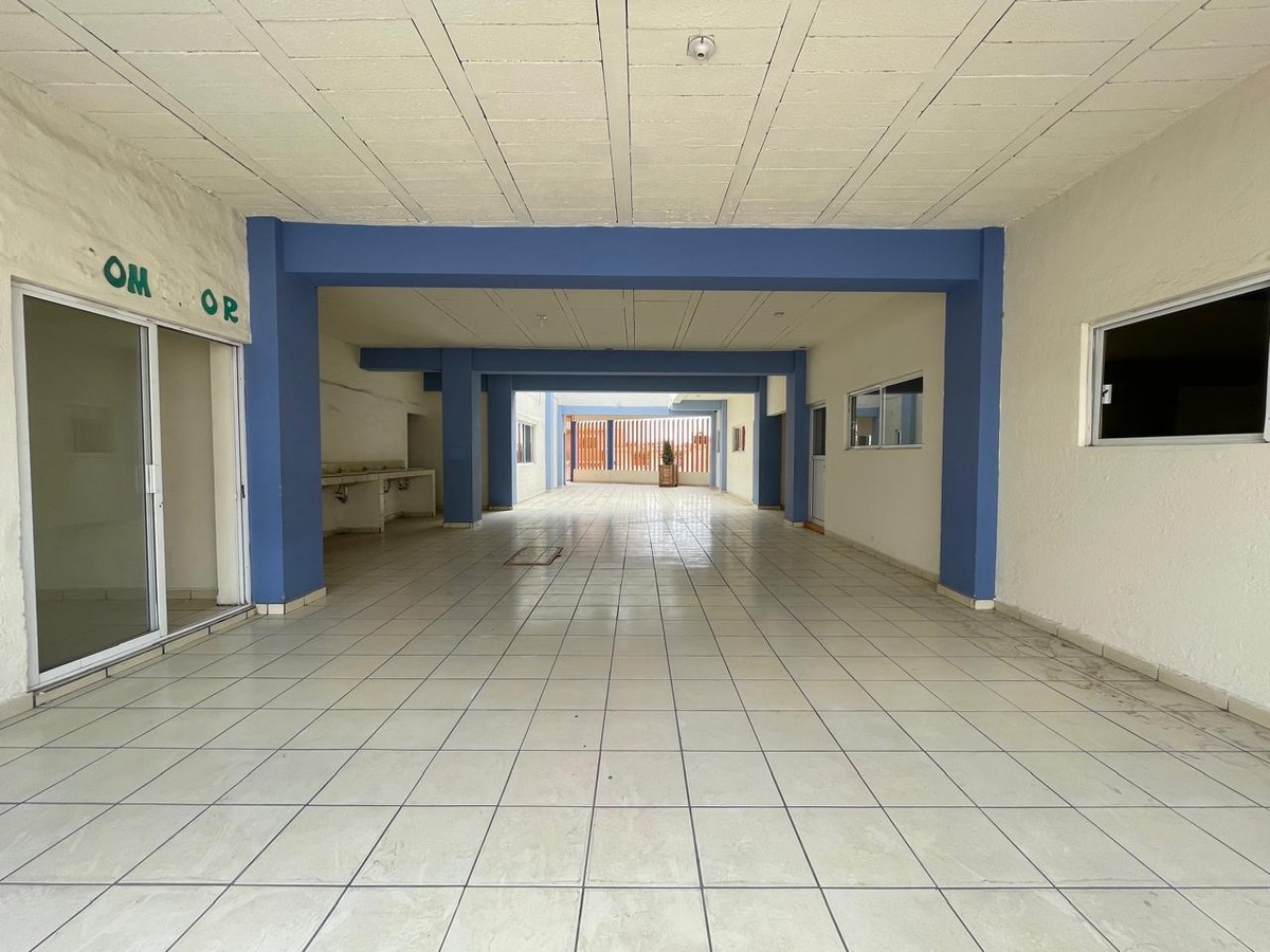 5 de 17