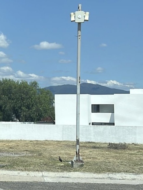 2 de 8