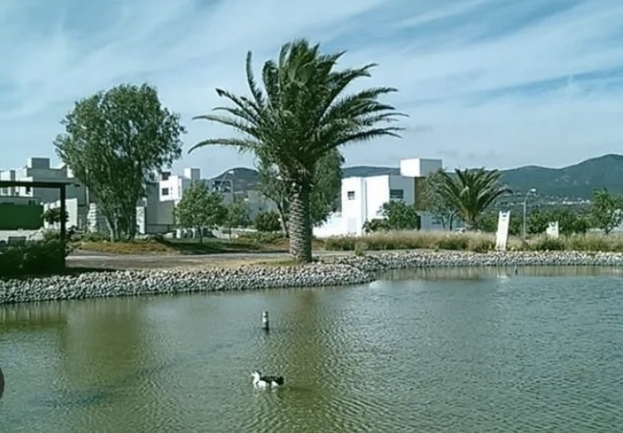 5 de 8