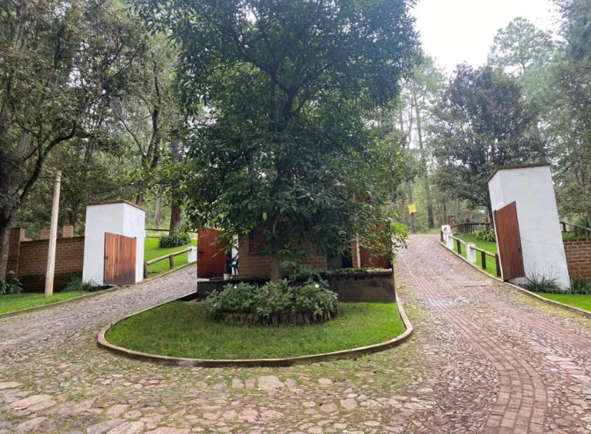 1 de 7