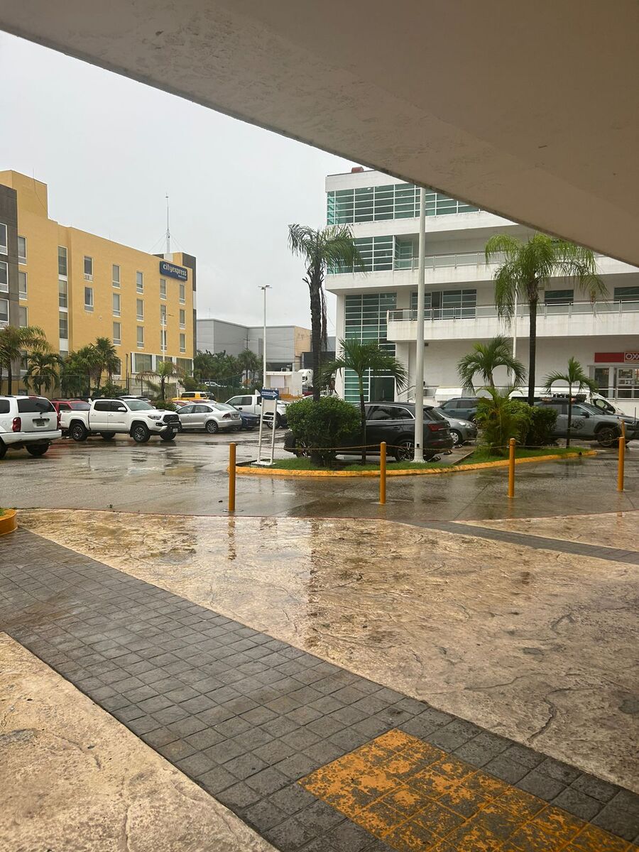 5 de 12