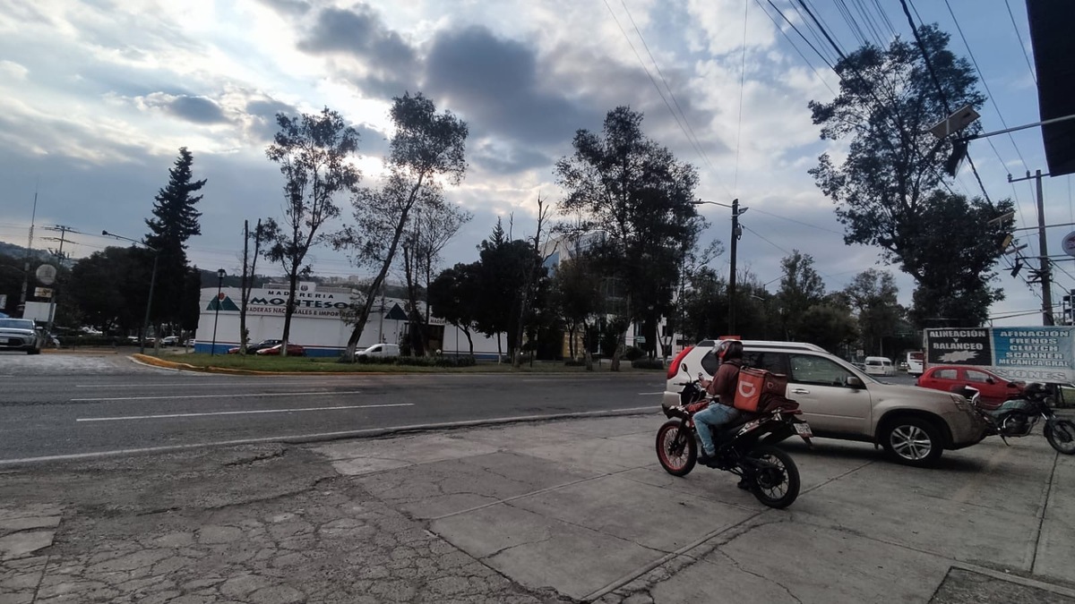 6 de 19