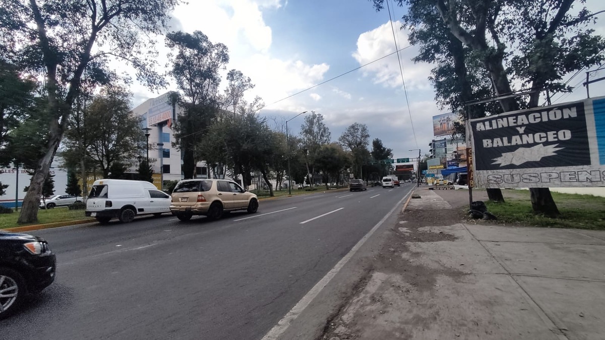 11 de 19