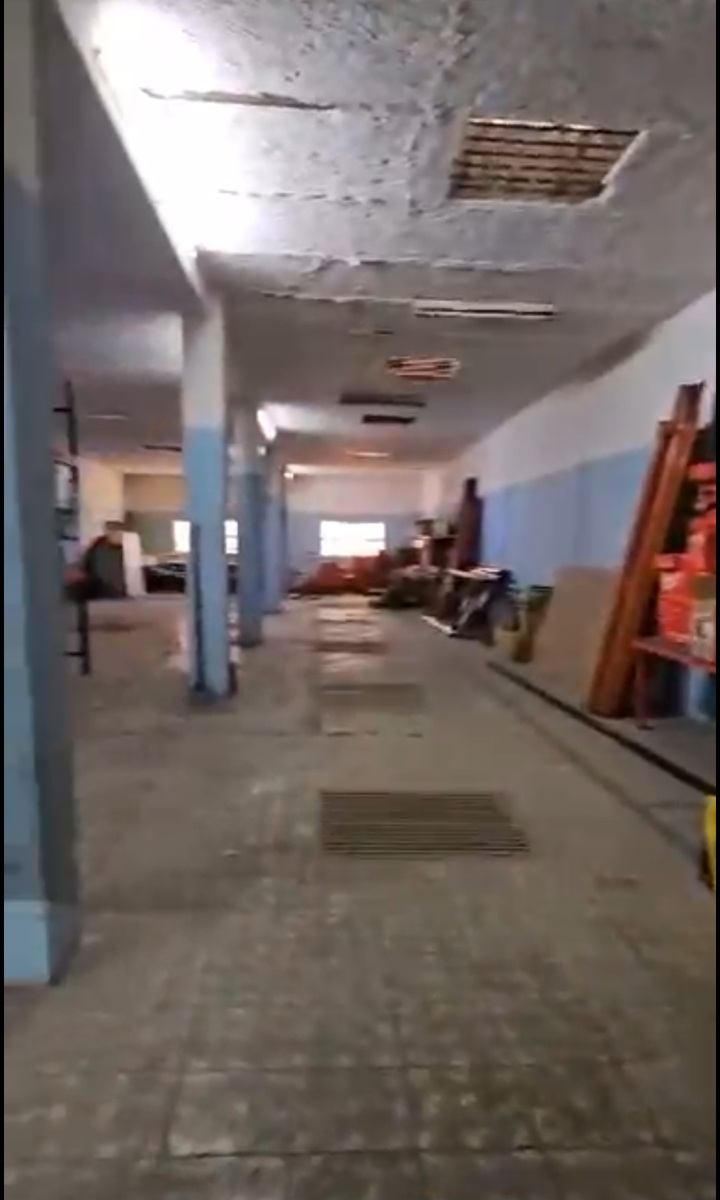 3 de 7