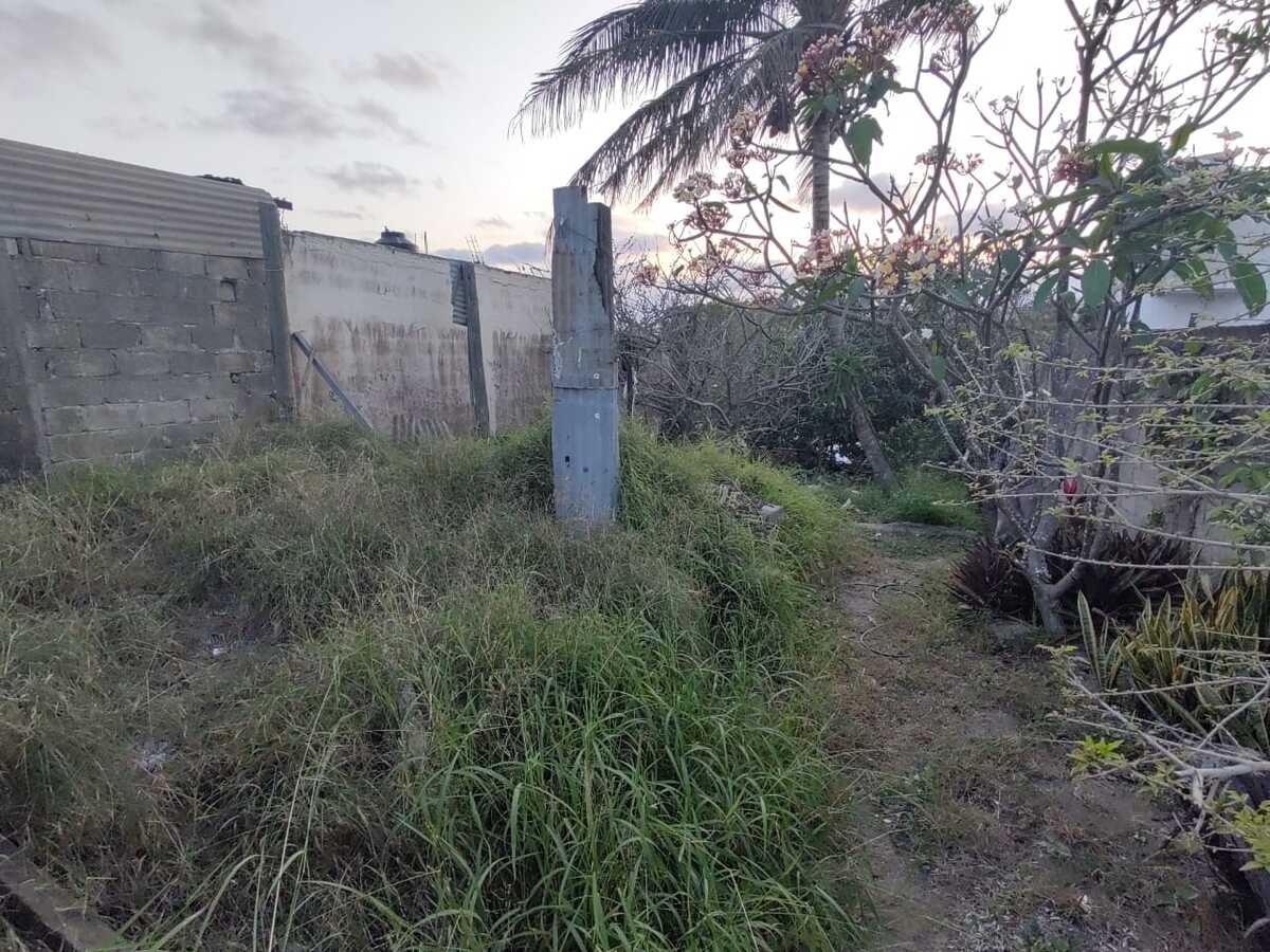 4 de 10