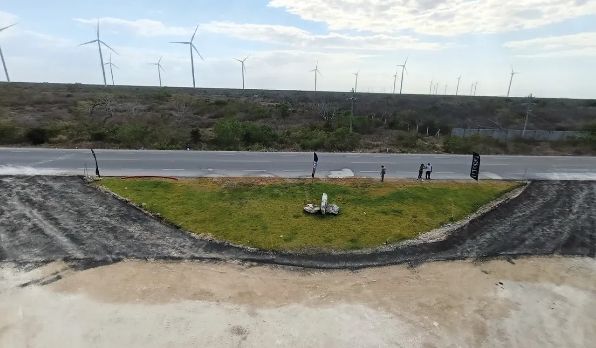 12 de 12