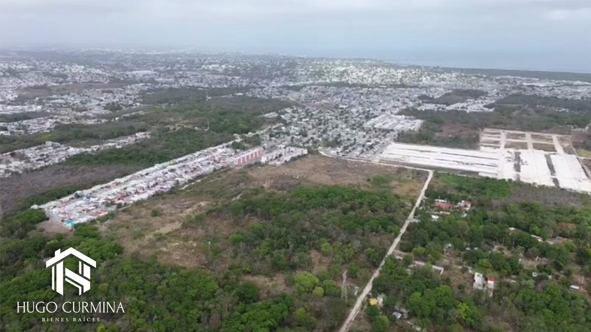 3 de 3