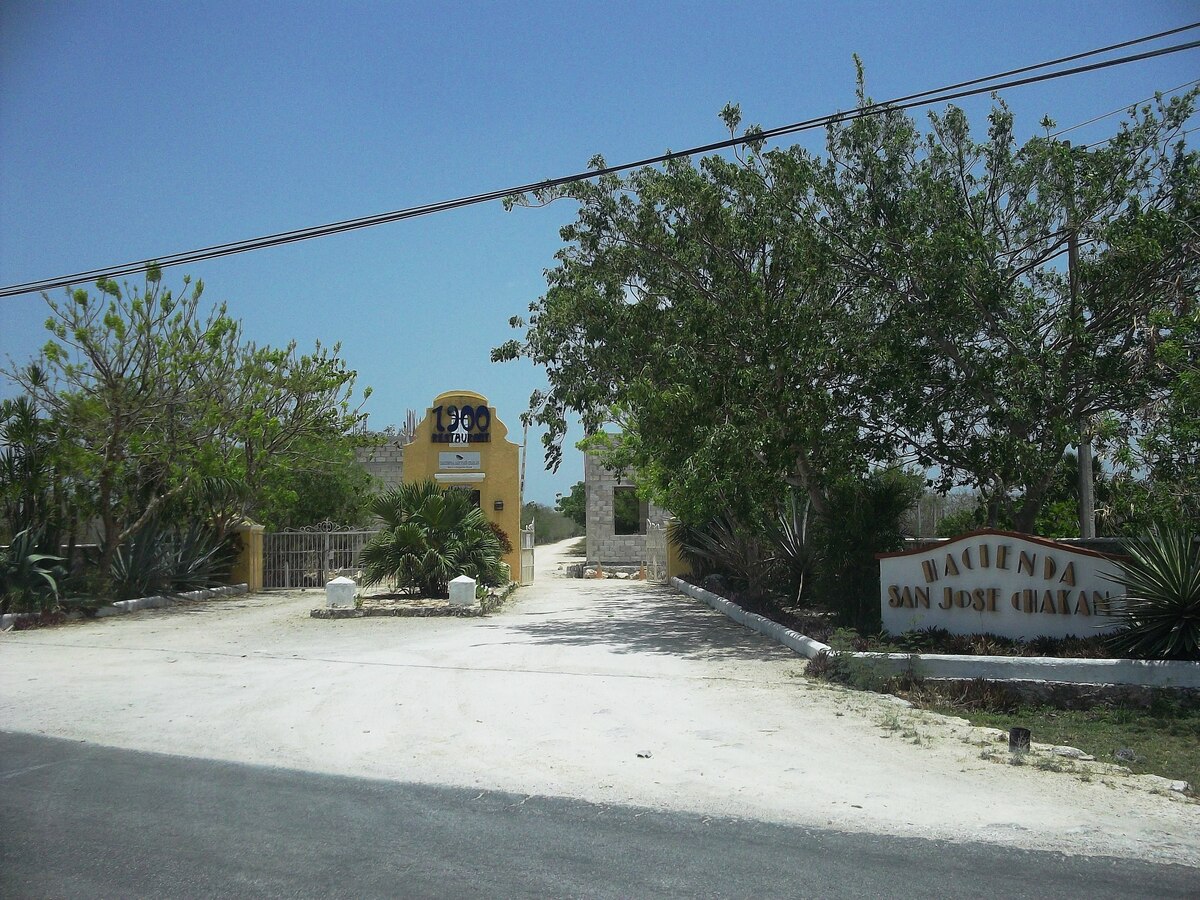 2 de 7