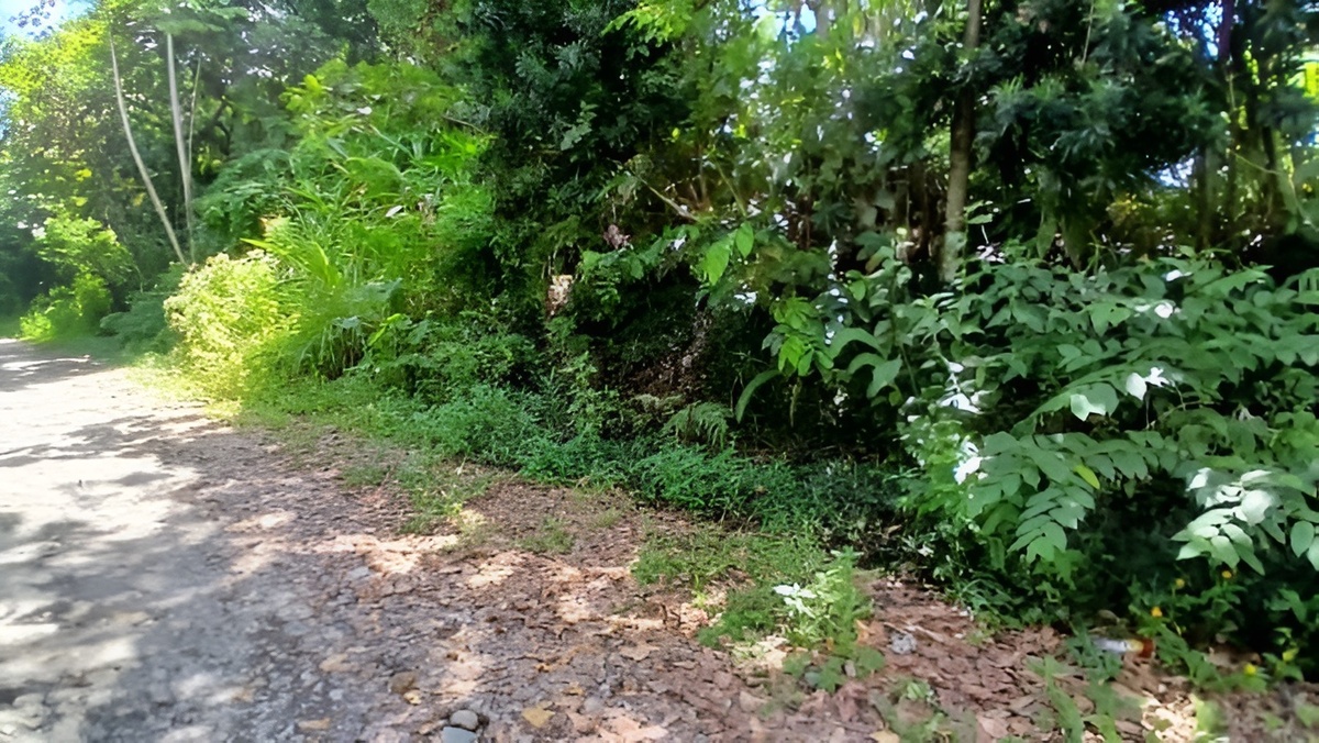 1 de 1