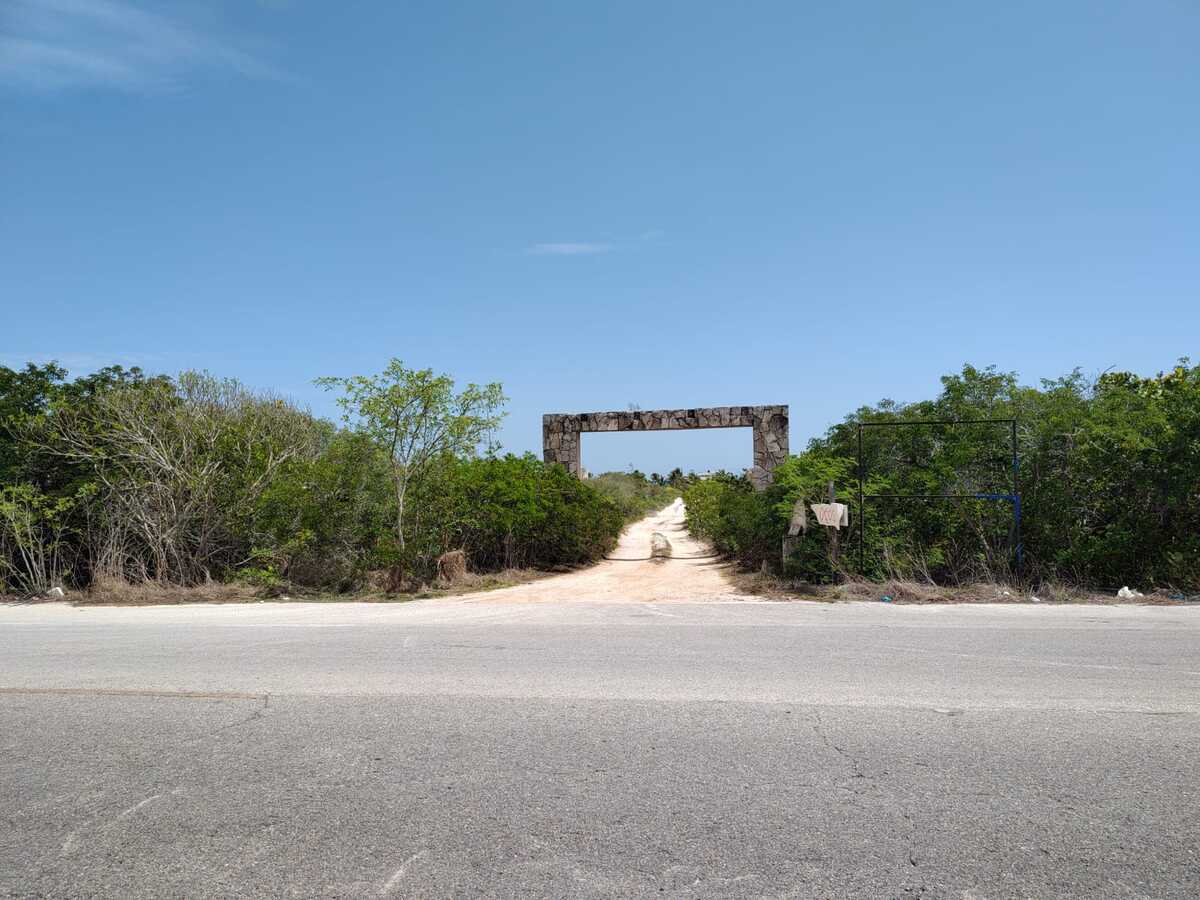 2 de 13