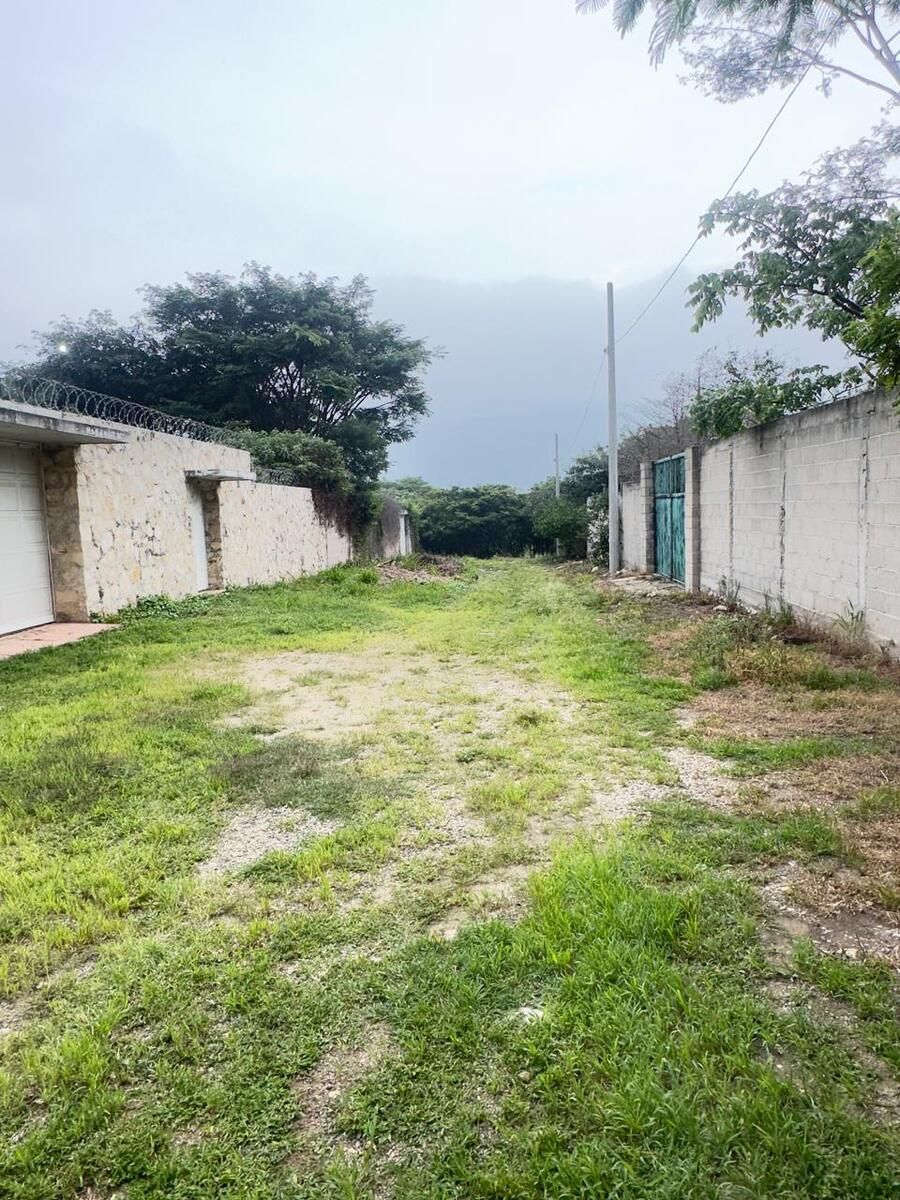 5 de 9: Calle de Acceso