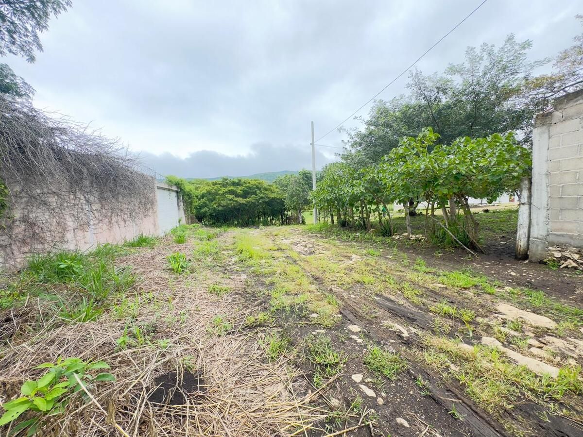 8 de 9: Calle de acceso