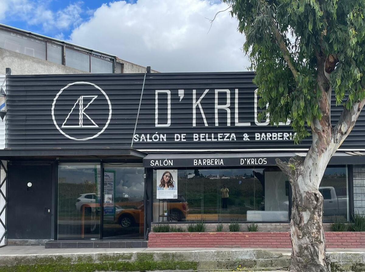 7 de 7