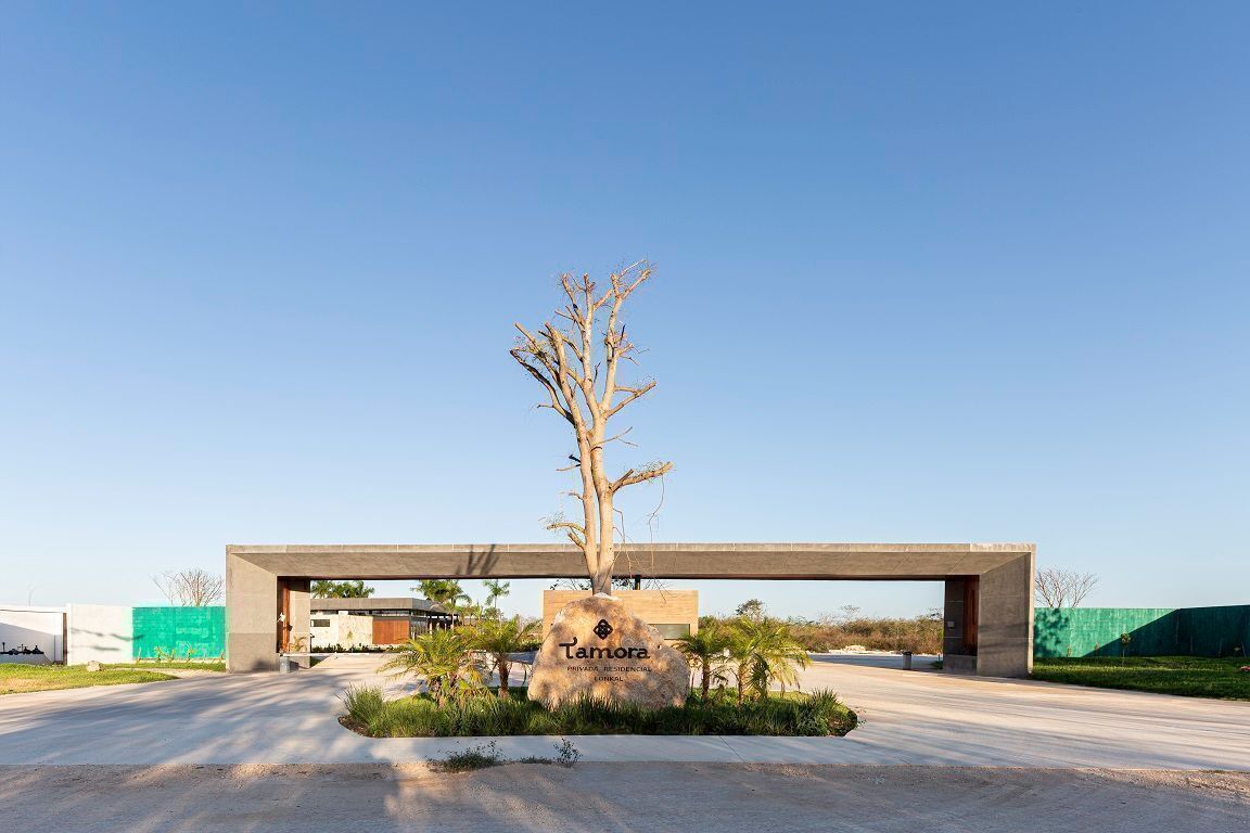 9 de 16: Acceso Principal