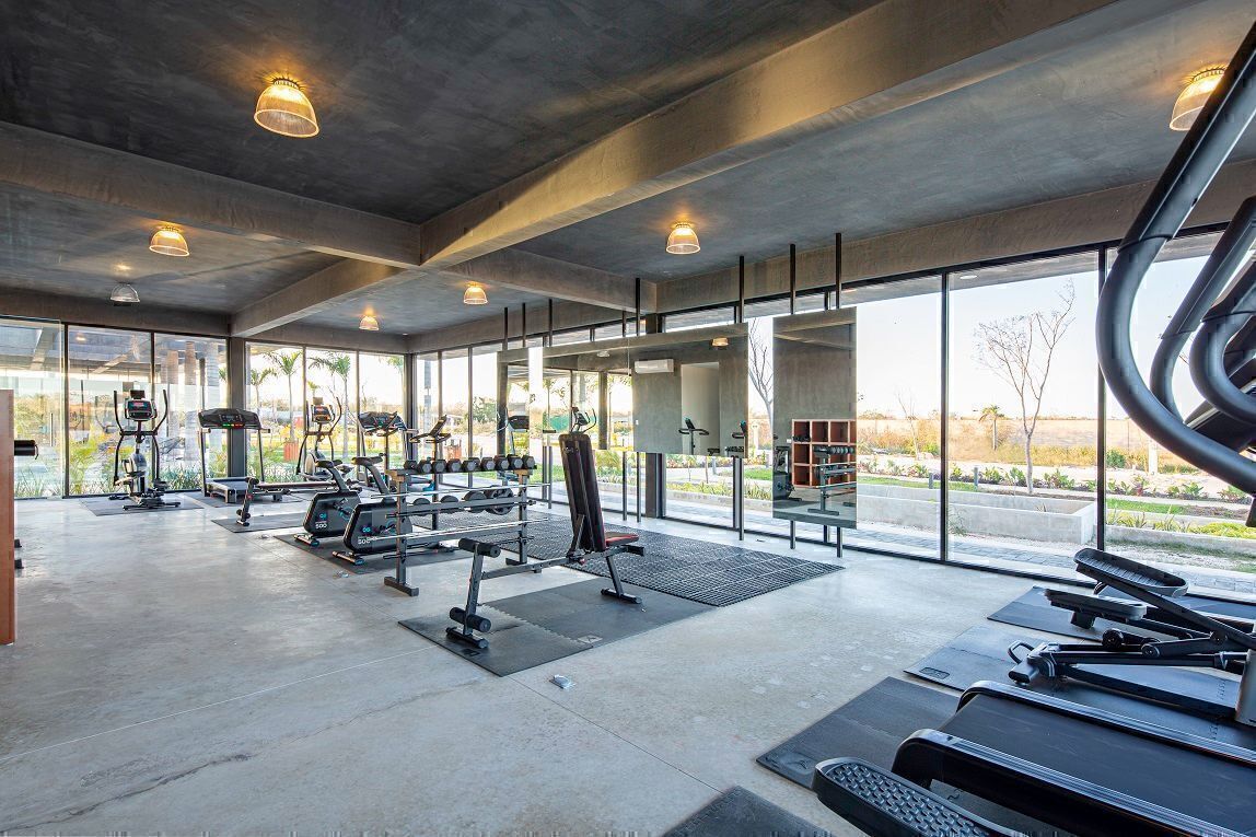 16 de 16: Gimnasio