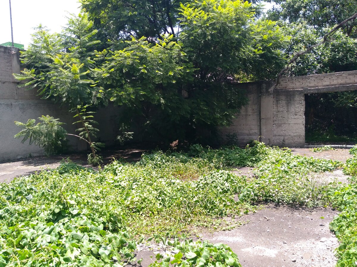 2 de 5