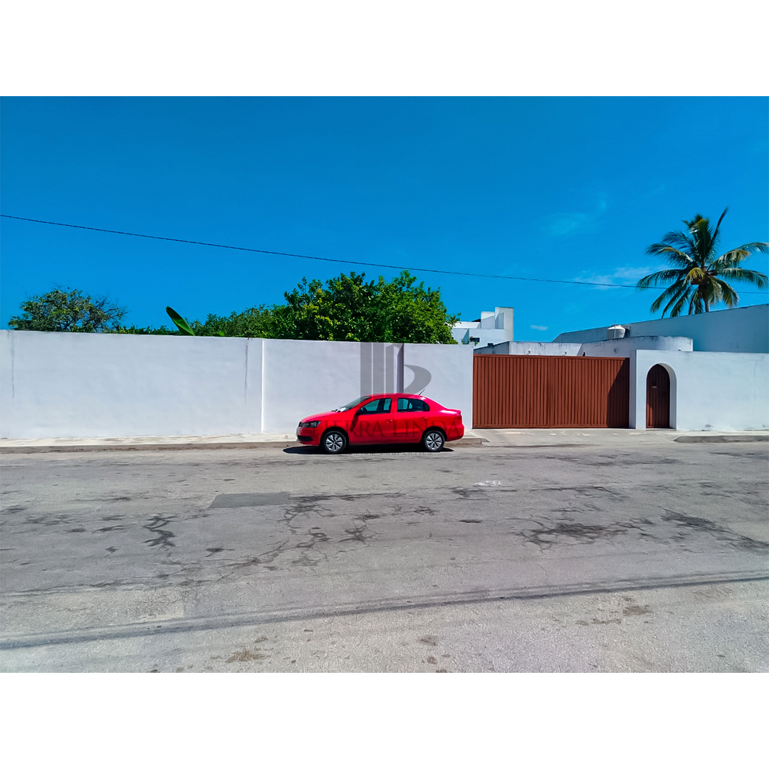 4 de 19