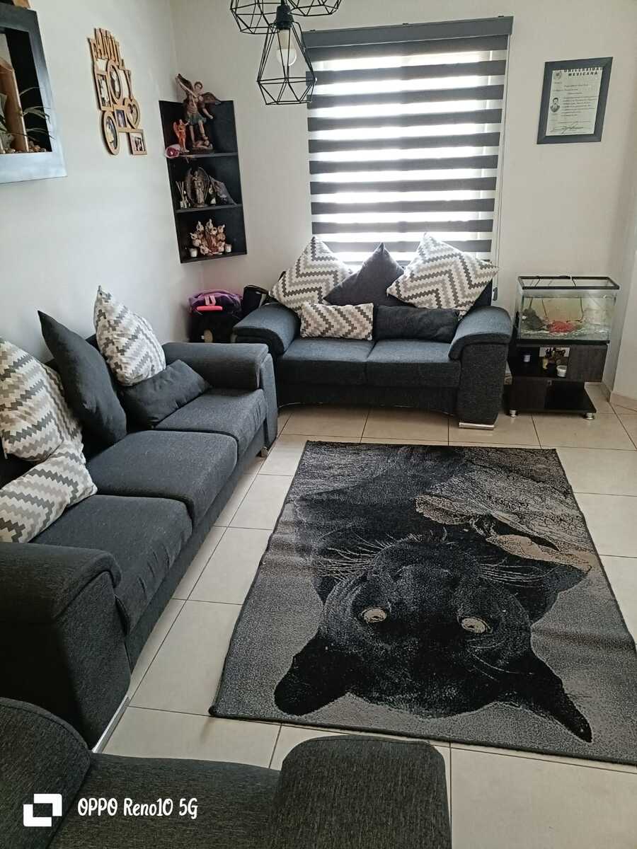 3 de 11
