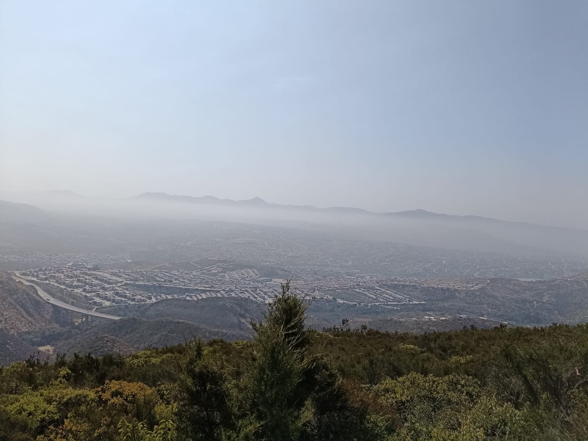 1 de 2
