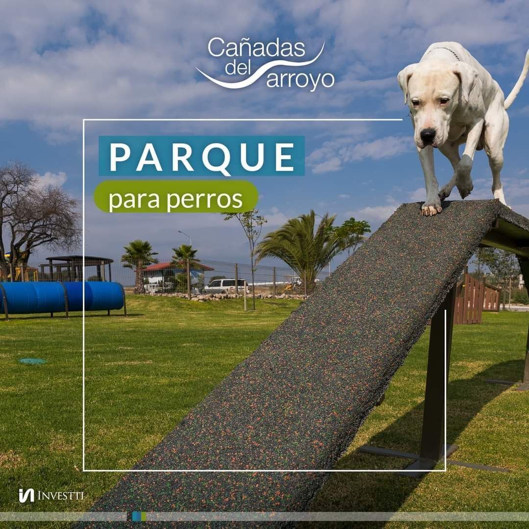 5 de 12