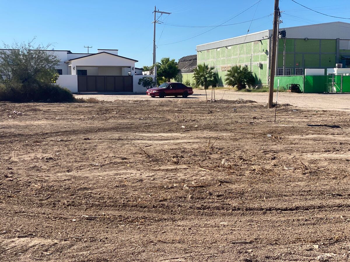 11 de 12: AGENDA CON TU AGENTE