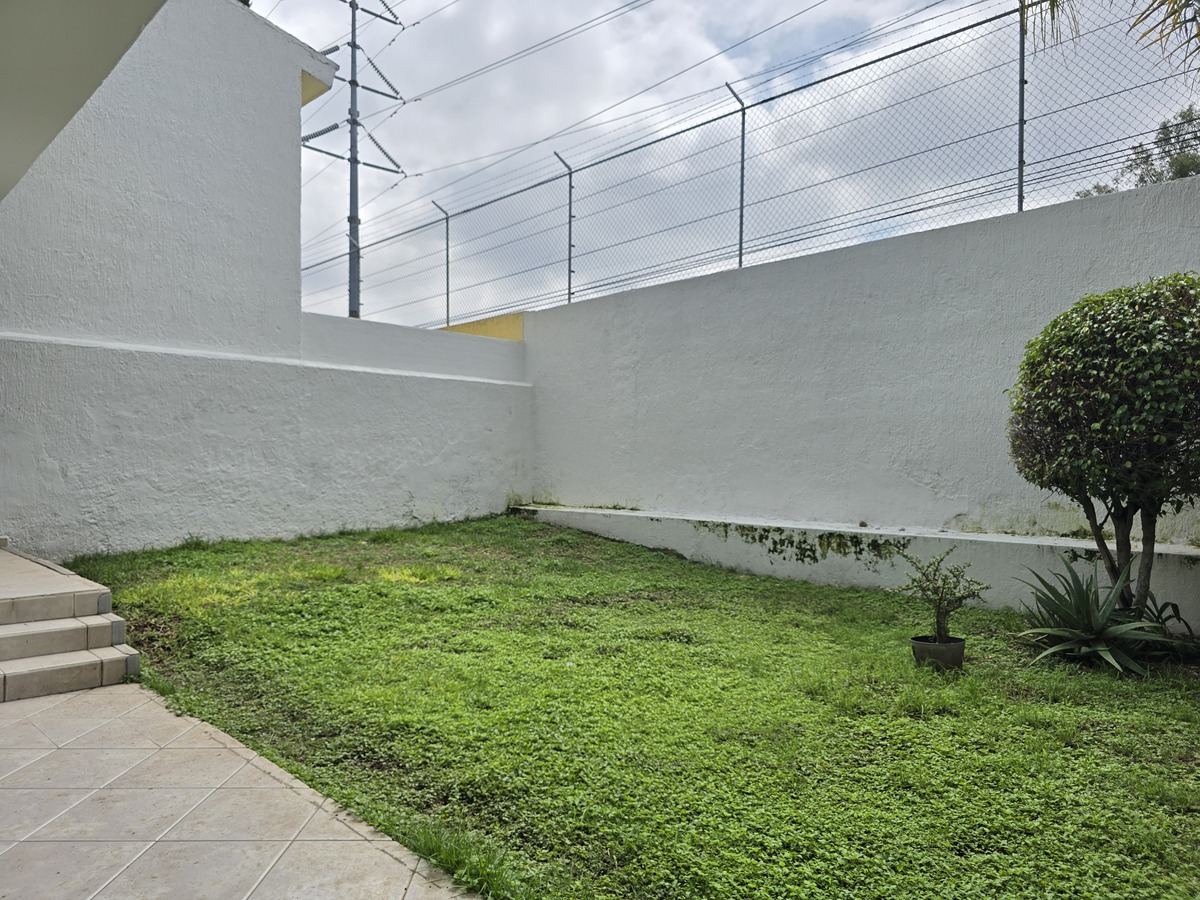 11 de 39
