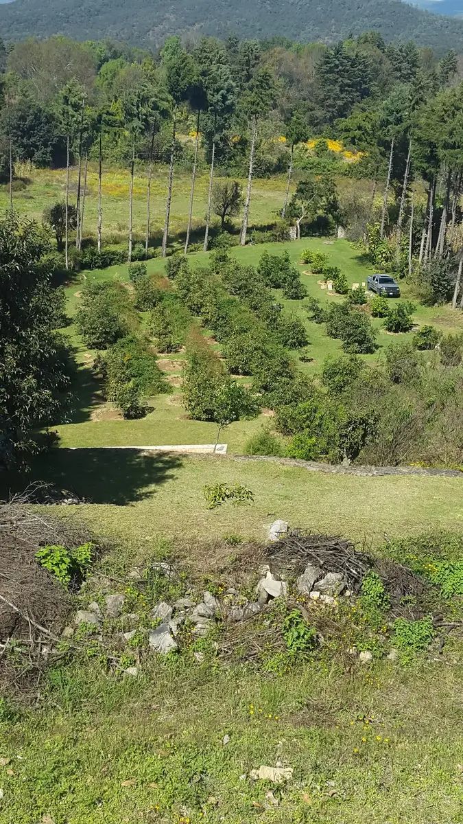 2 de 29
