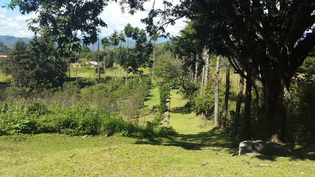 3 de 29