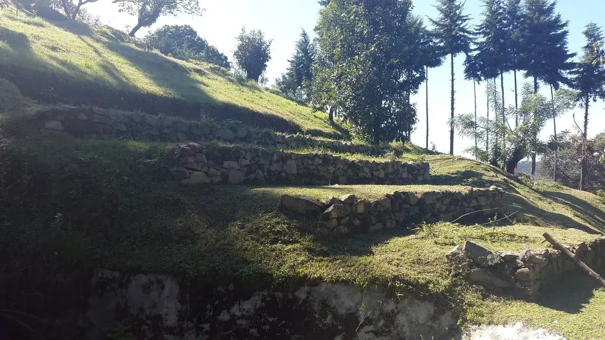 6 de 29